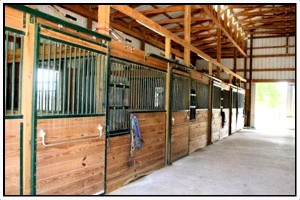 Florida Horse Barn Builders – Country Wide Barns